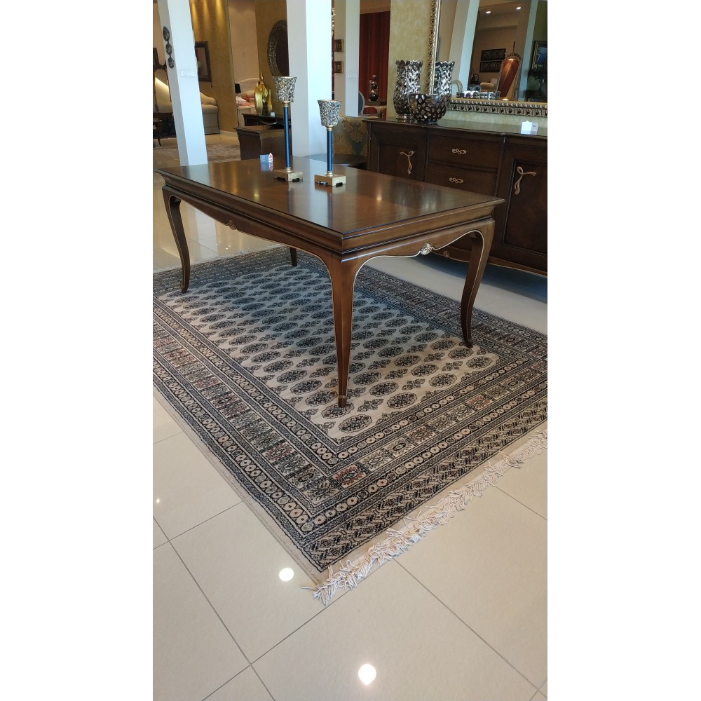 νέο κοχύλι No2