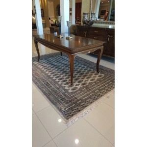 νέο κοχύλι No2